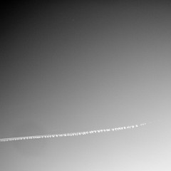 2011-02-07-3178