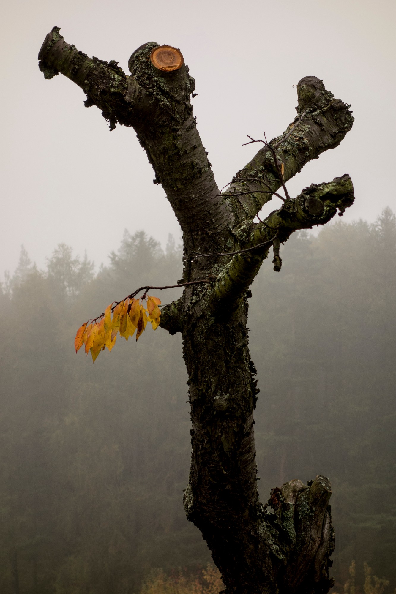 2012-10-20-6869