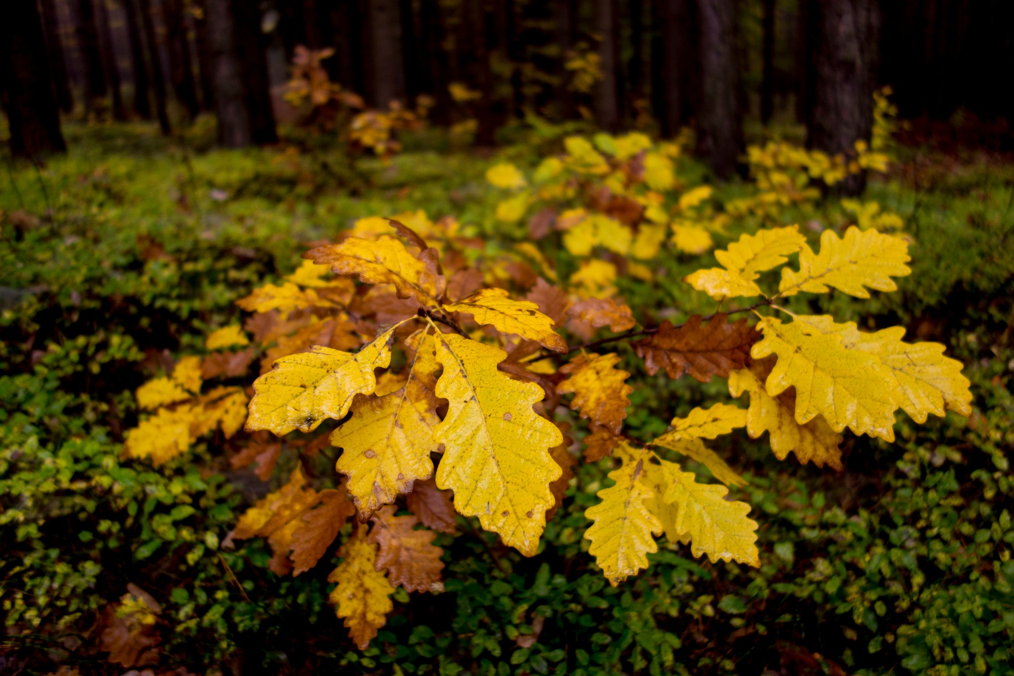 2012-10-20-6899