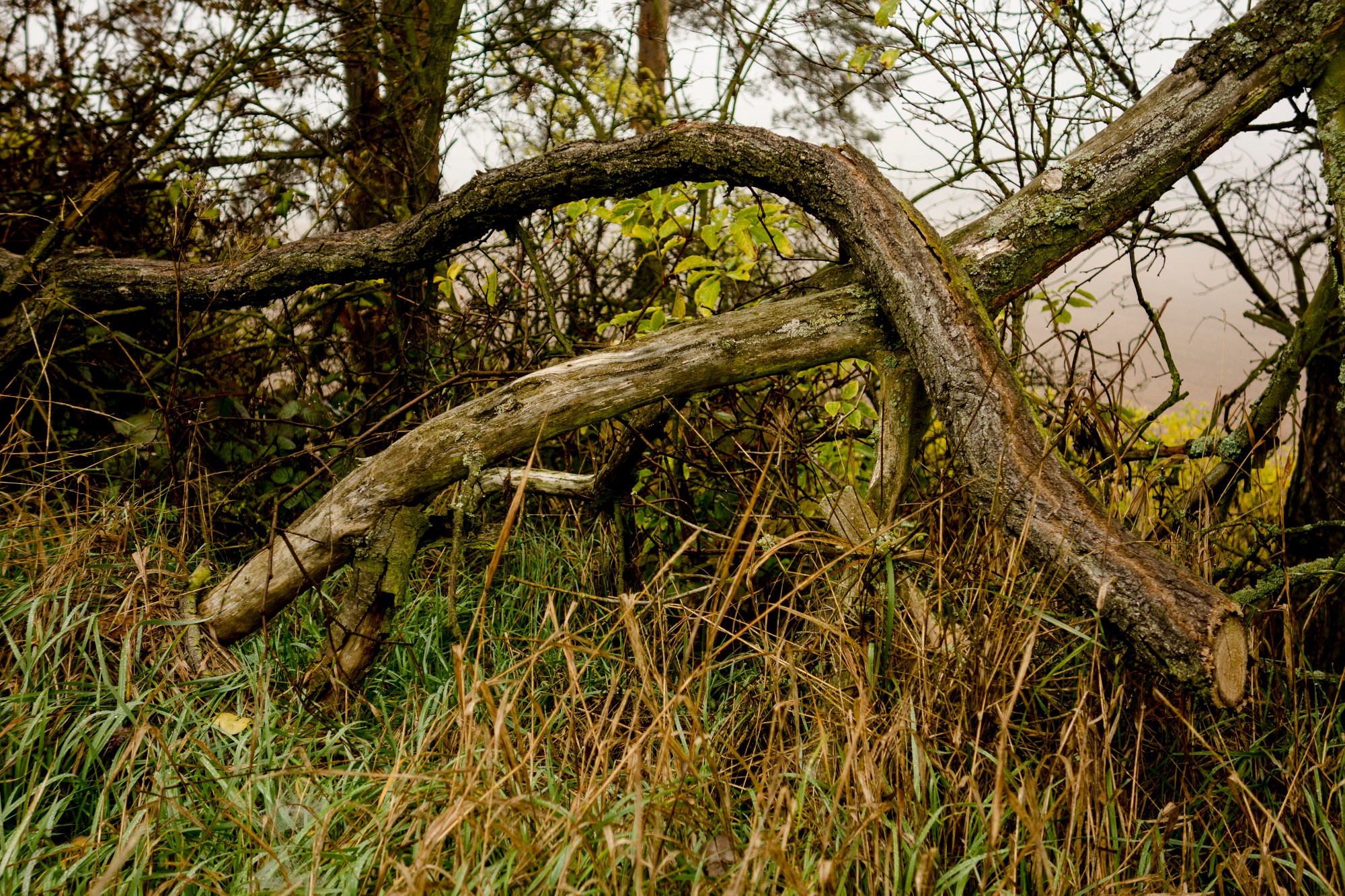 2012-10-20-6906