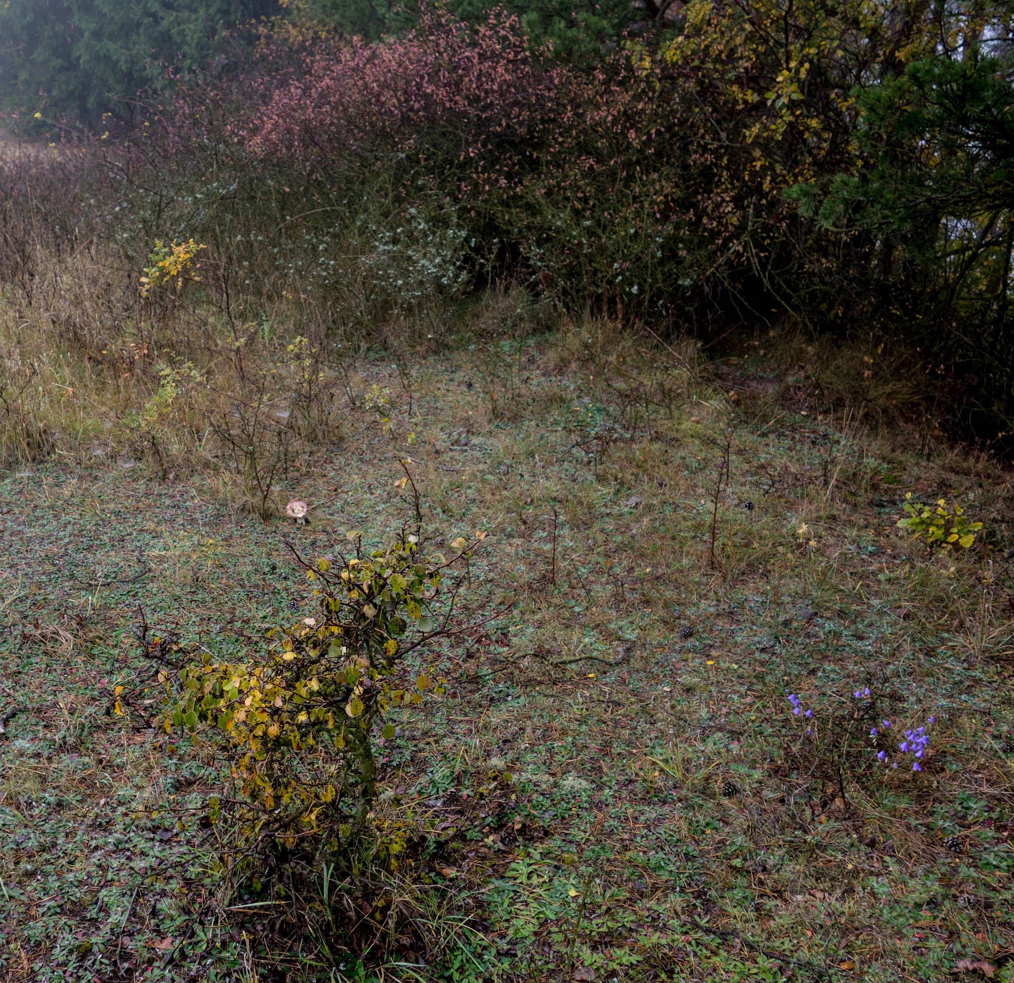 2012-10-20-6929