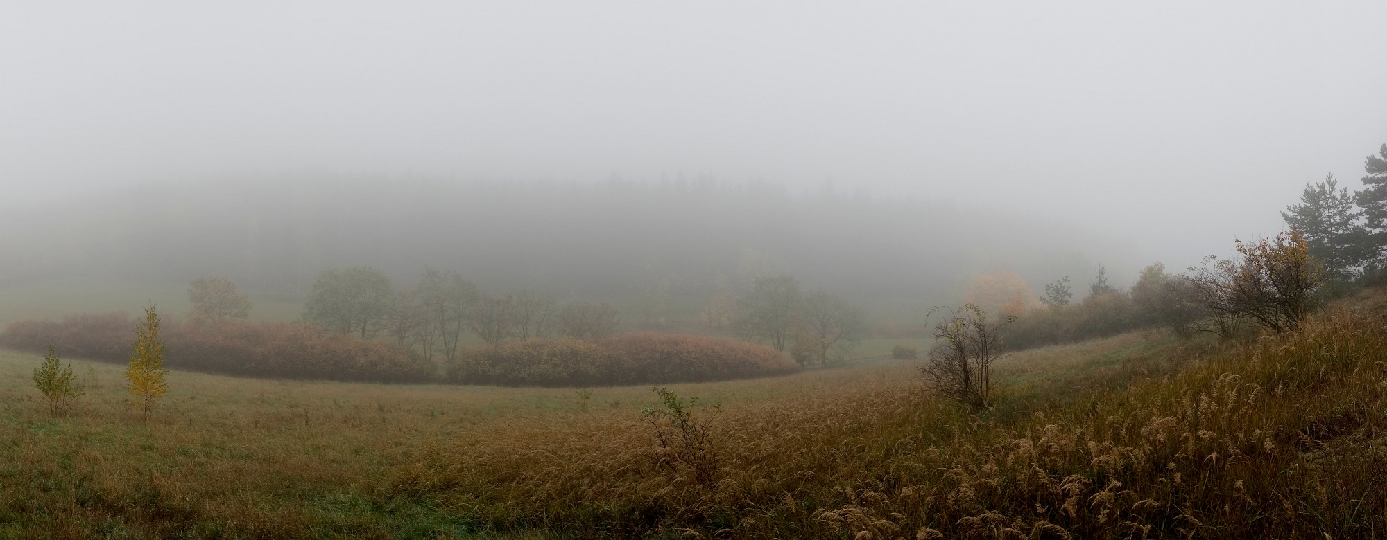 2012-10-20-6948