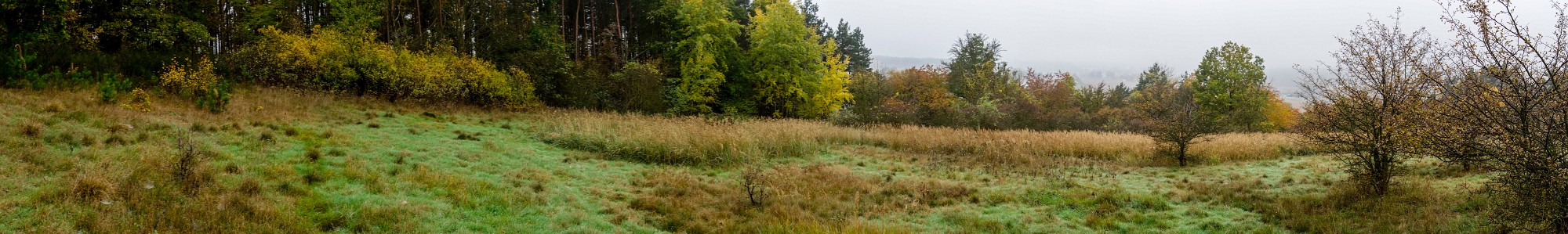 2012-10-20-6989