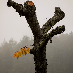 2012-10-20-6869