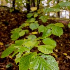 2012-10-20-6887
