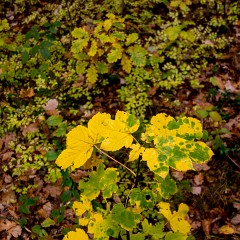 2012-10-20-6891