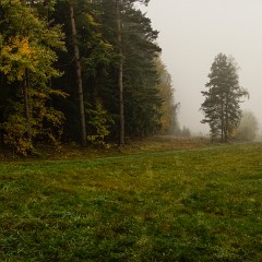 2012-10-20-6902