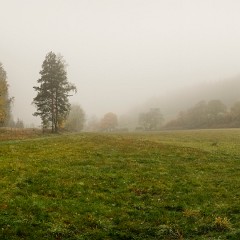 2012-10-20-6903