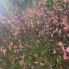 2012-10-20-6937