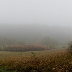 2012-10-20-6948