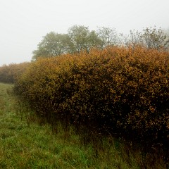 2012-10-20-6950
