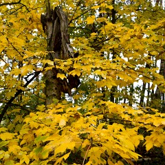 2012-10-20-6970