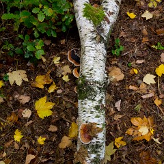 2012-10-20-6976
