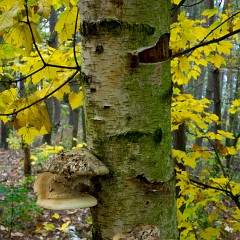 2012-10-20-6982