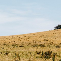 2025-08-17-00013