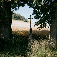 2025-08-17-00020
