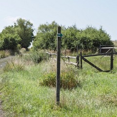 2025-08-17-00021