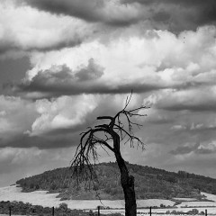 2025-08-17-00063-2