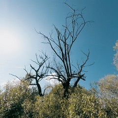 2025-08-17-00080-2