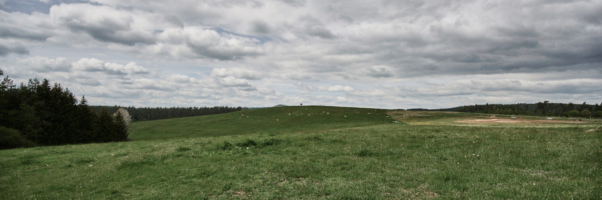 2019-05-12-01237
