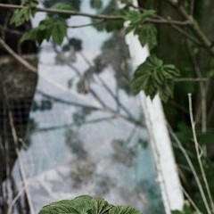 2019-05-12-01167