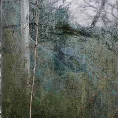 2019-05-12-01174