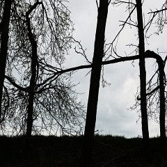 2019-05-12-01233