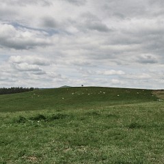 2019-05-12-01237