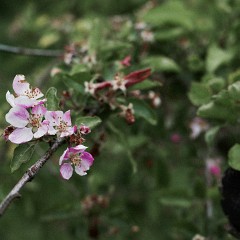 2019-05-12-01241