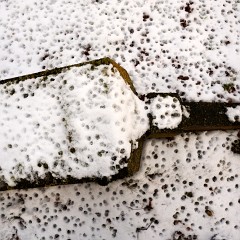 2022-01-09-08427