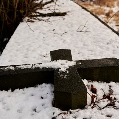 2022-01-09-08431