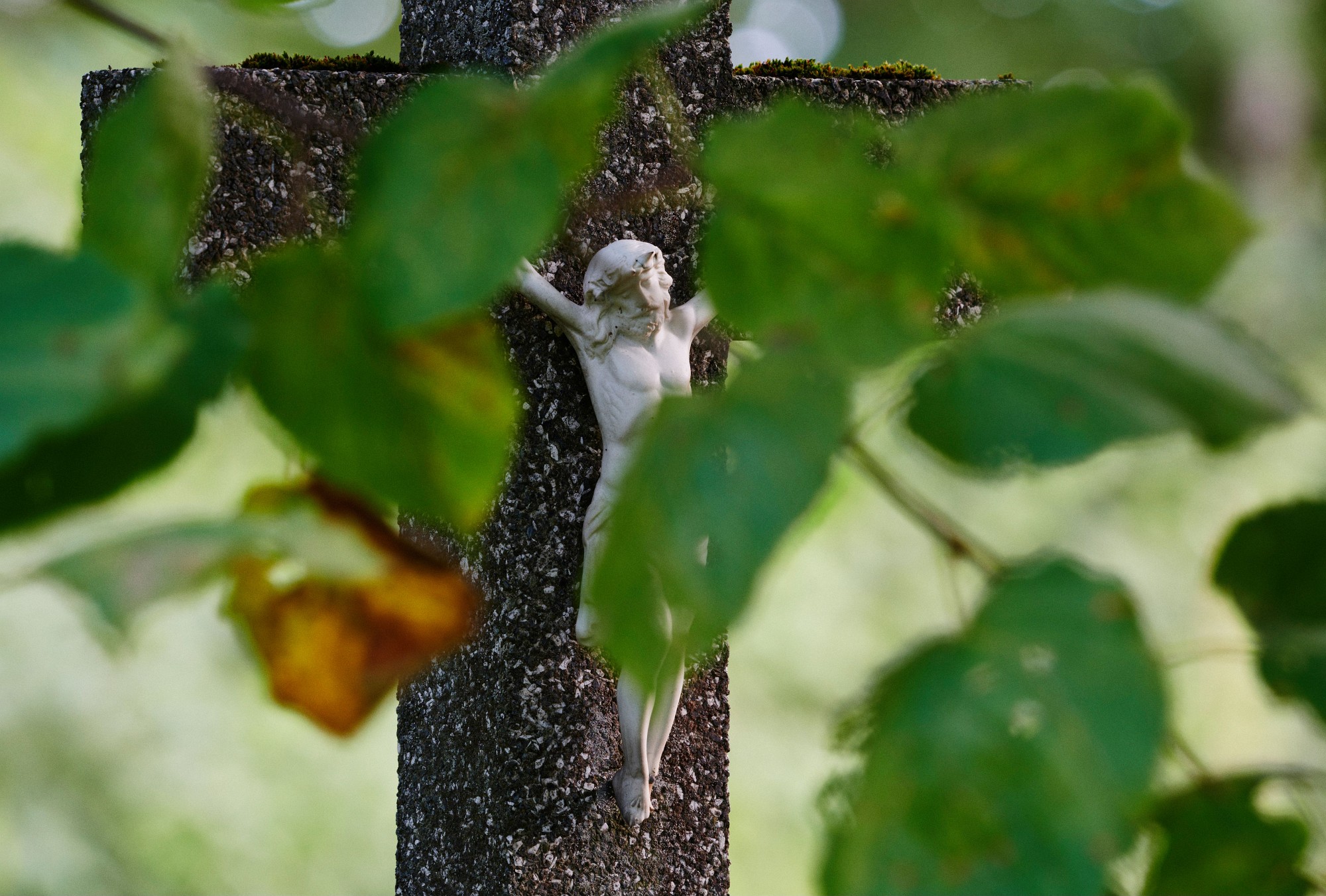 2019-09-29-03110-Exposure