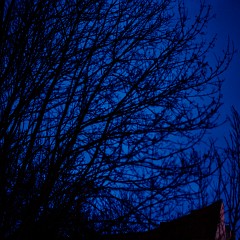 2015-12-02-00607