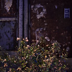 2015-12-02-00654