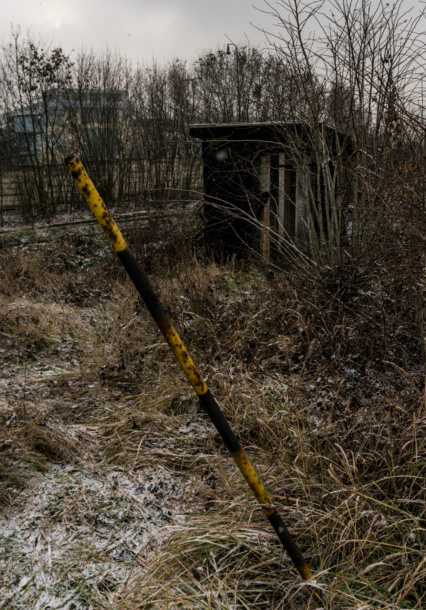 2012-12-21-7701
