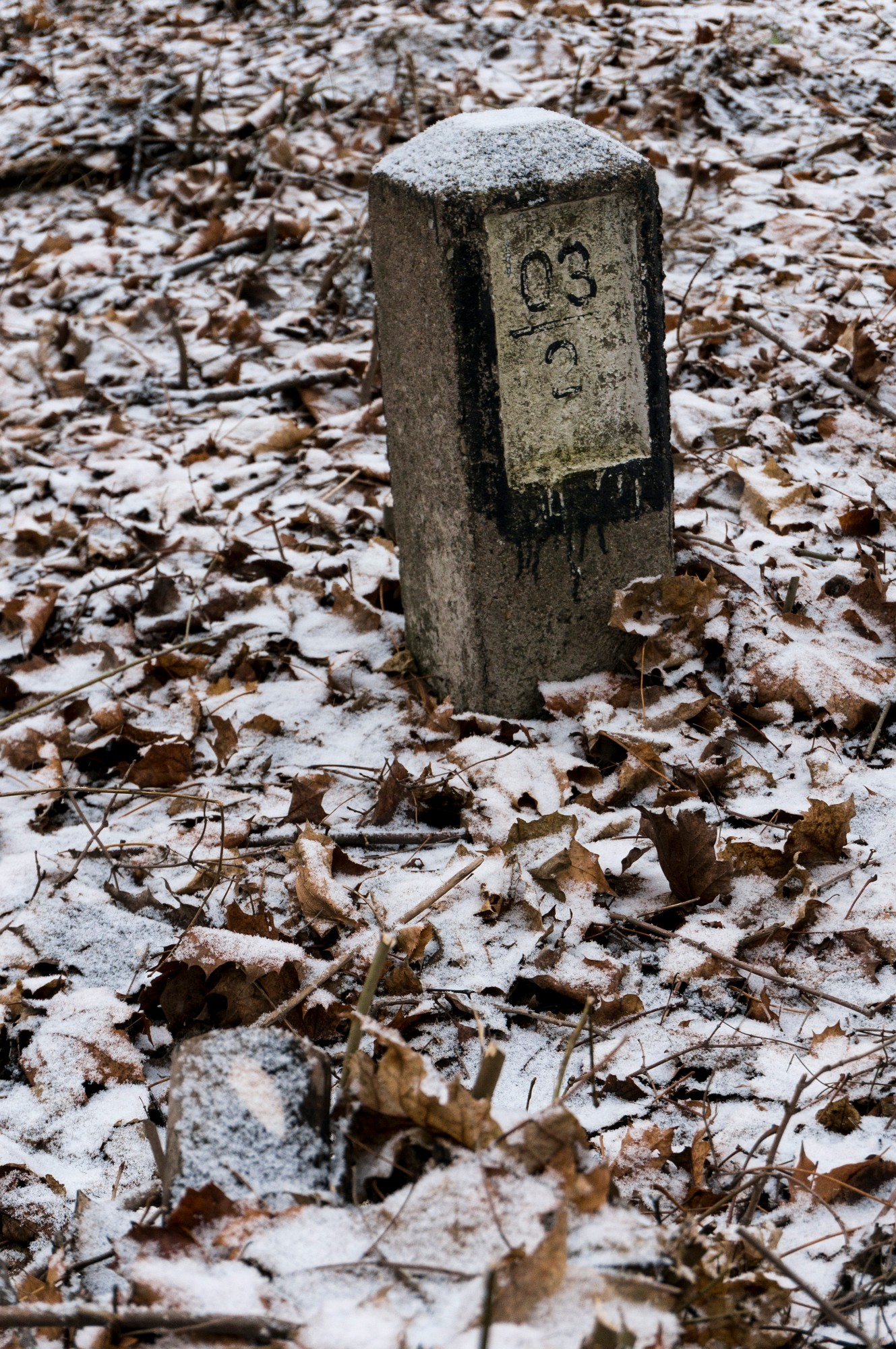 2012-12-21-7709