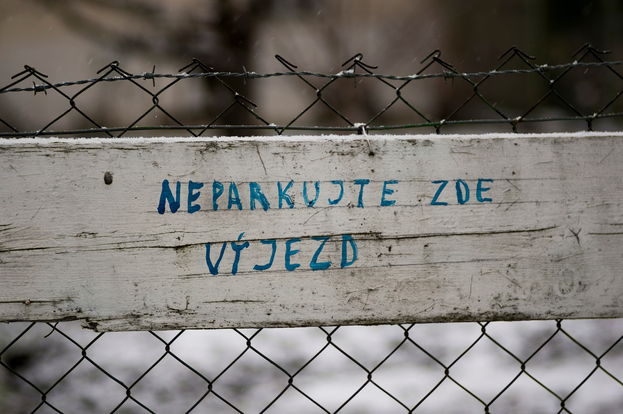 2012-12-21-7732