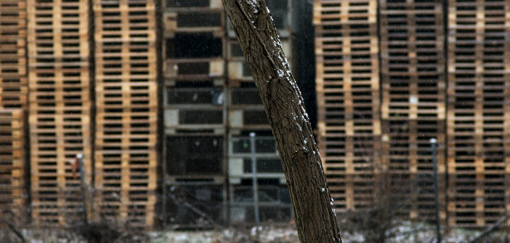2012-12-21-7747