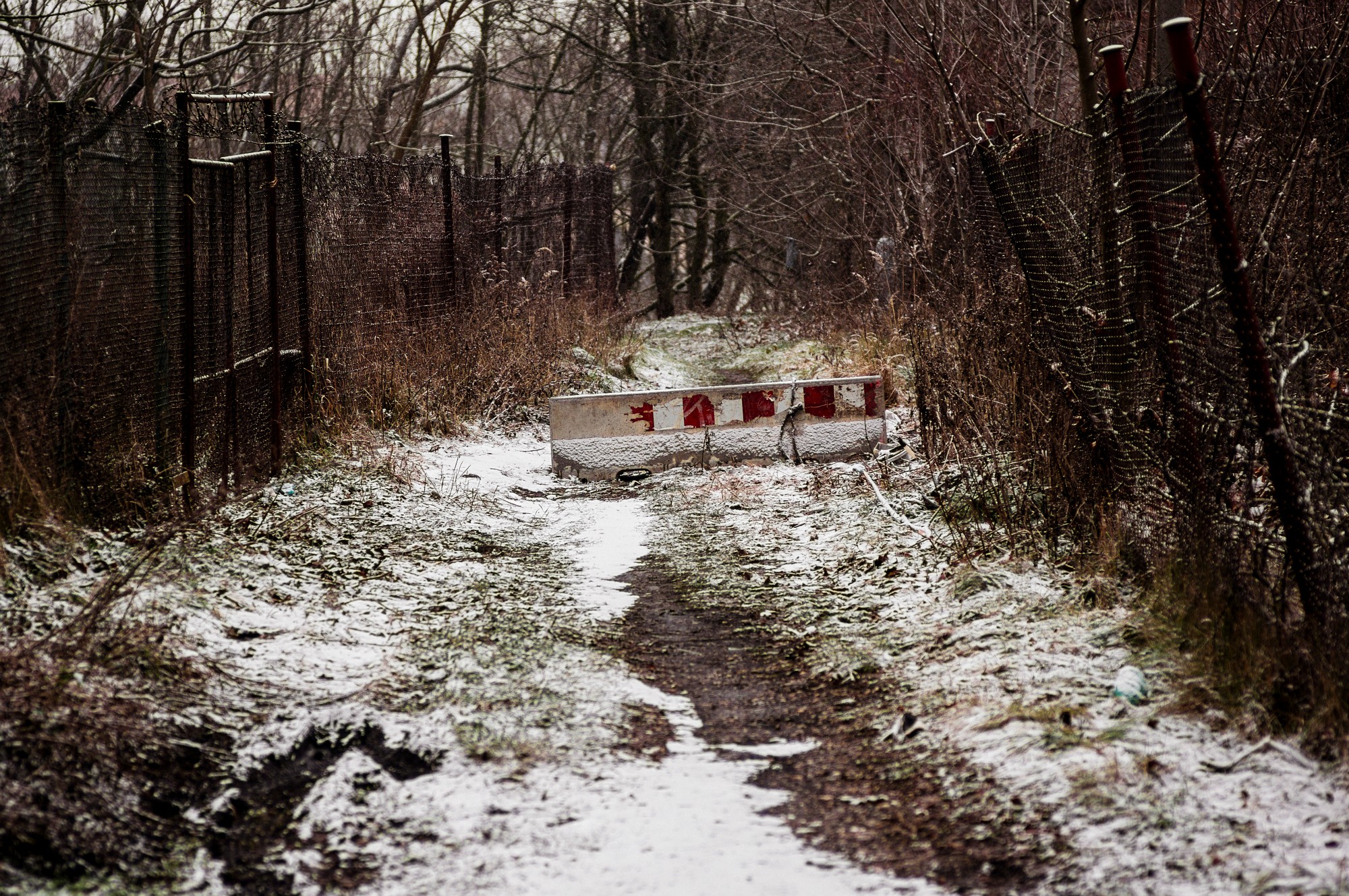 2012-12-21-7755