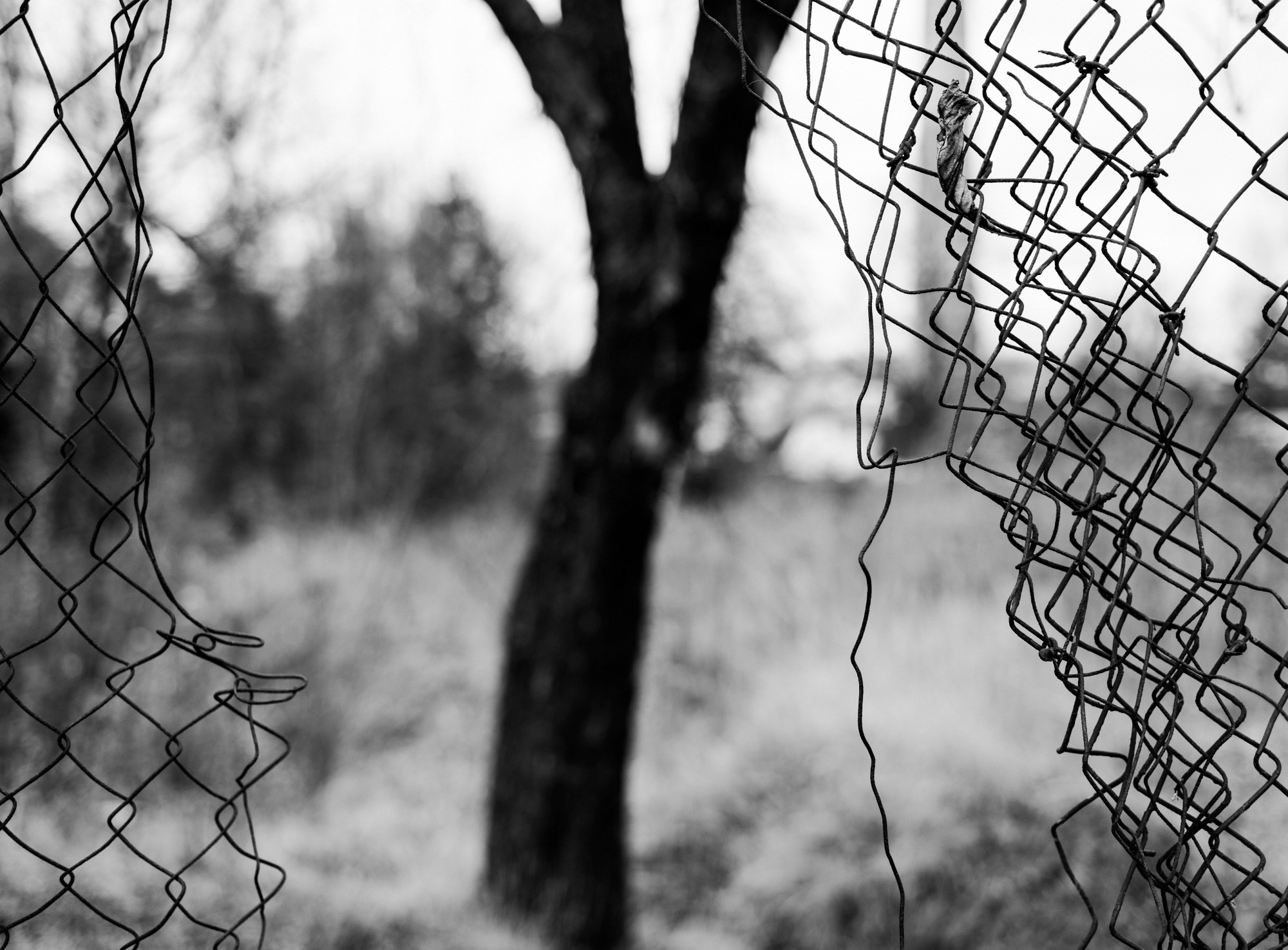 2014-02-16-0009