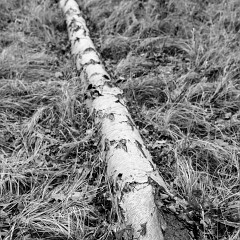 2014-02-16-0011 : Papirna, Plzen
