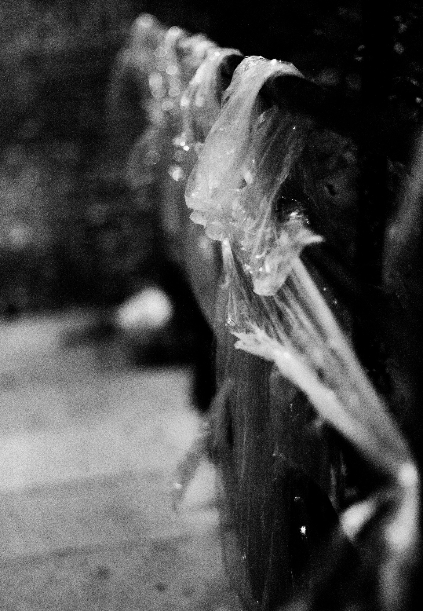 2012-12-30-8398