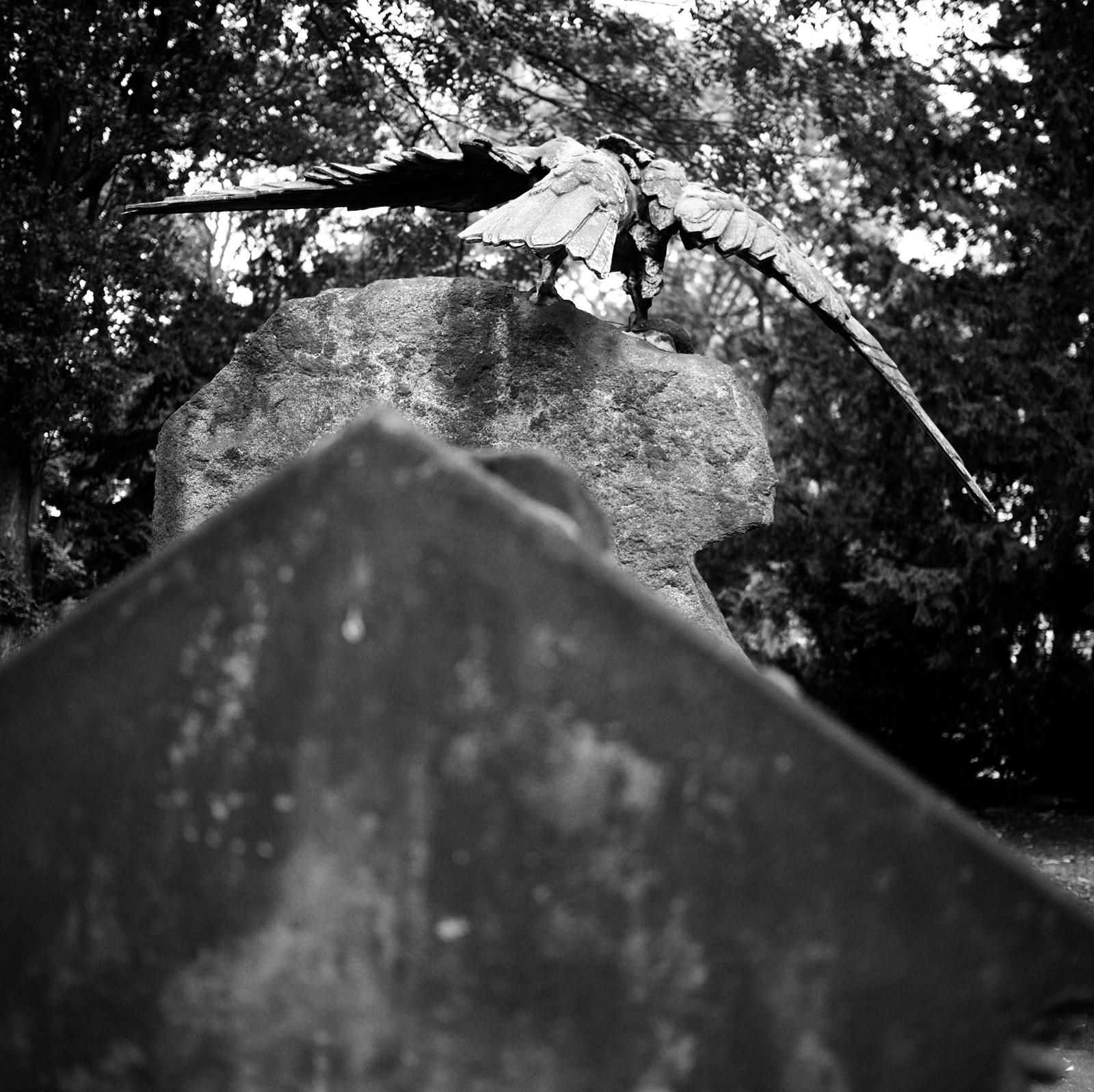 2011-10-20-6069