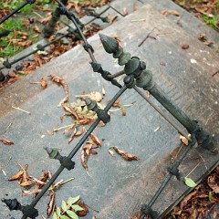 2011-10-20-6041