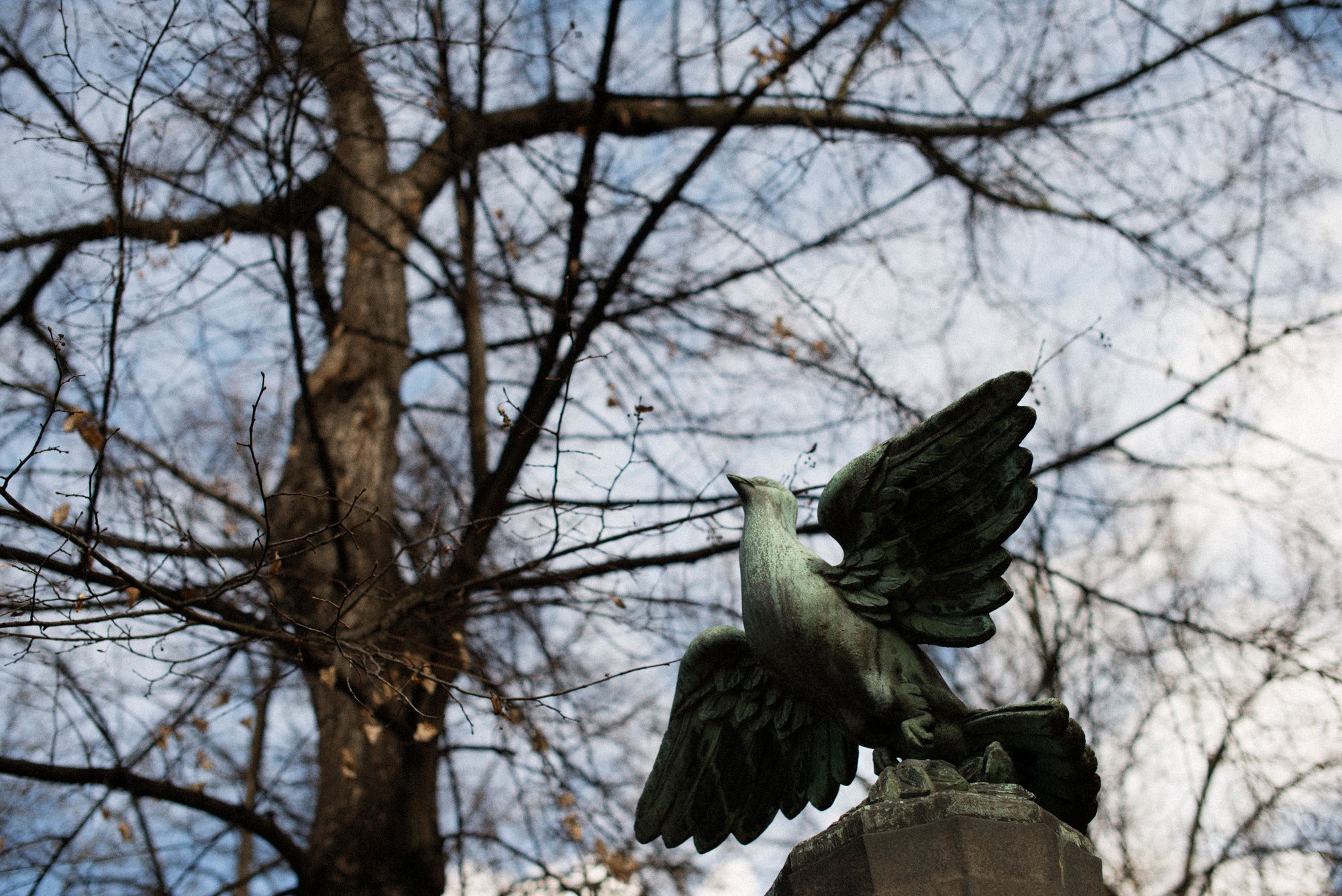 2015-03-28-0067-Exposure
