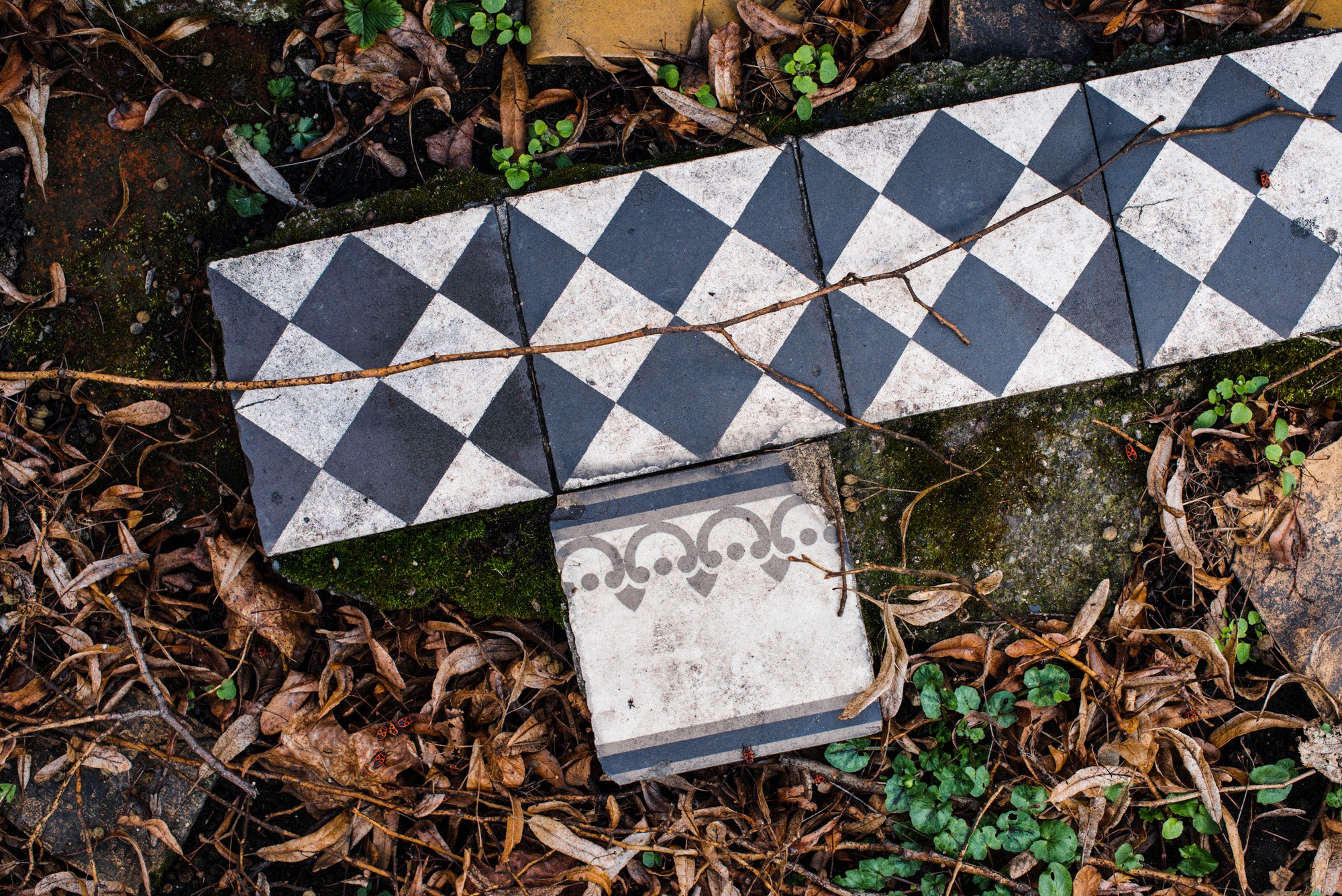 2015-03-28-0080-Exposure