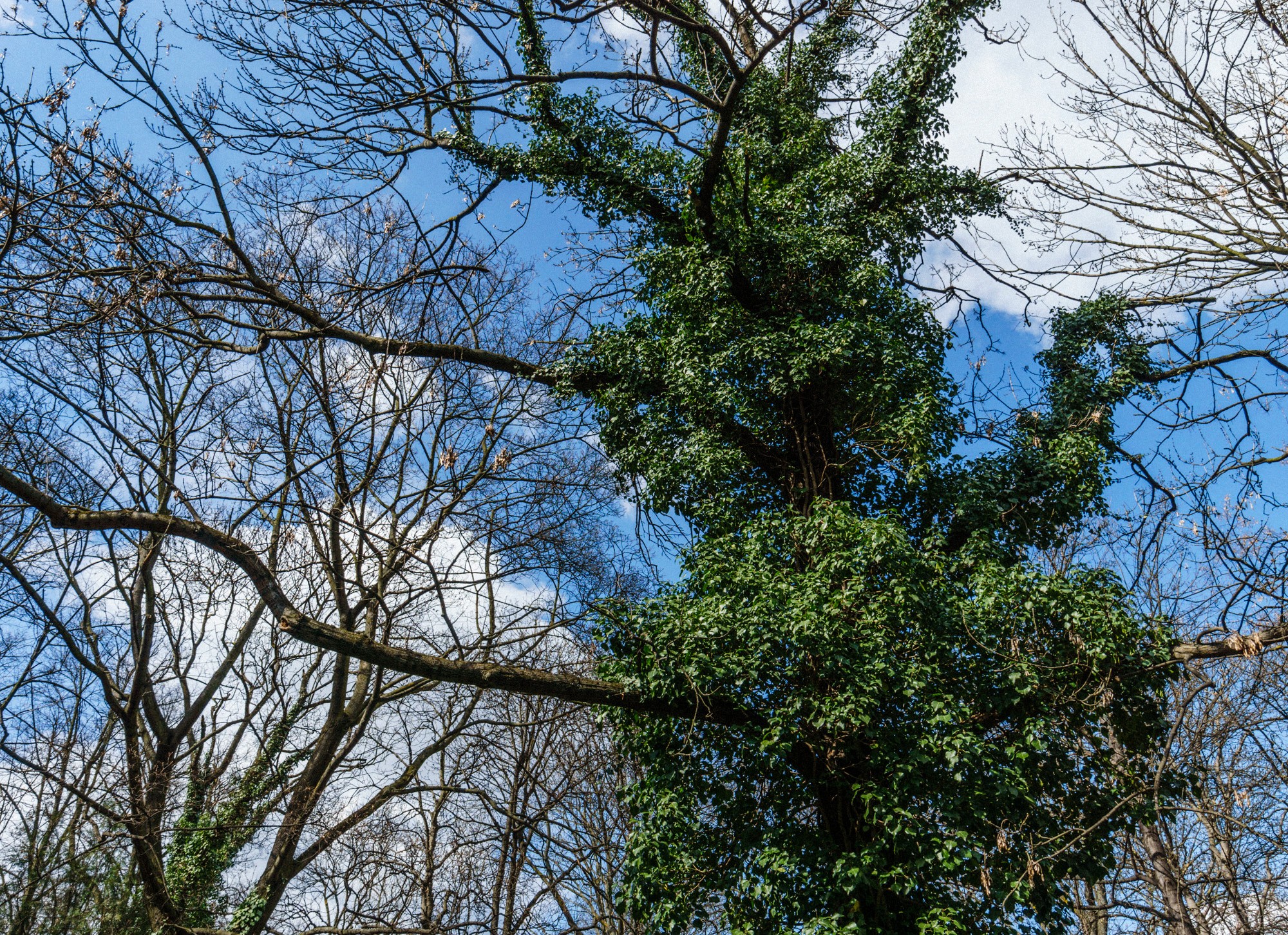 2015-03-28-0125-Exposure