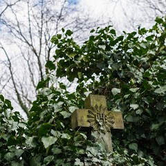2015-03-28-0141-Exposure : Olsansky hrbitov, Praha, hrbitovy