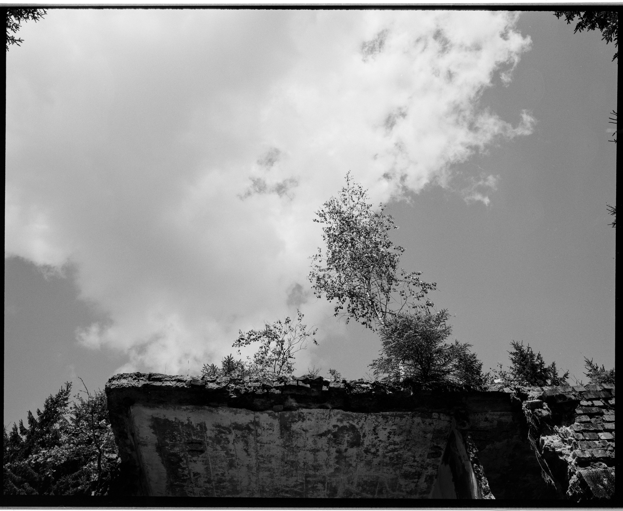 2010-027-67-bw-02