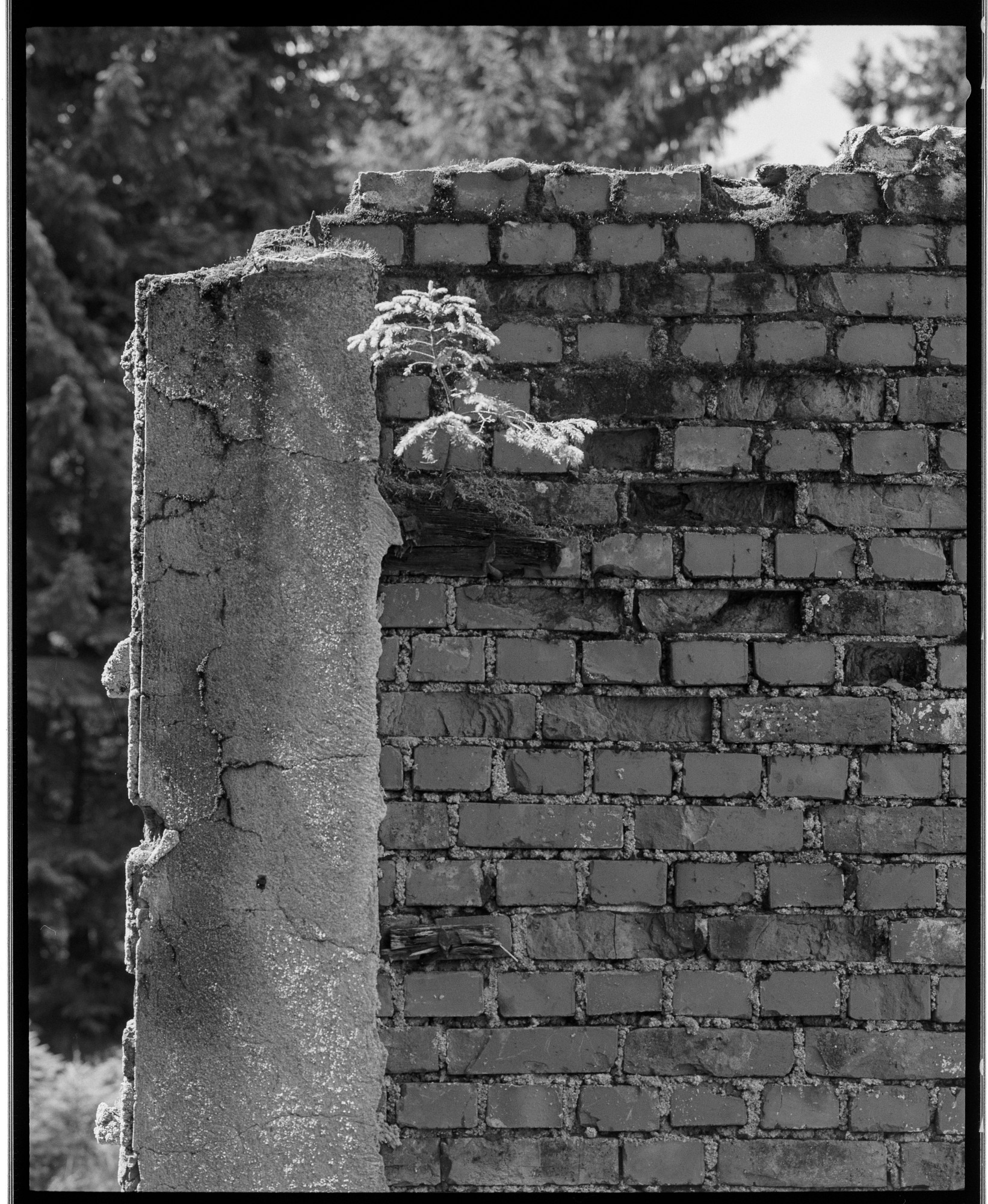 2010-028-67-bw-07
